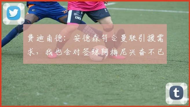 费迪南德：安德森符合曼联引援需求，我也会对签琼阿梅尼兴奋不已